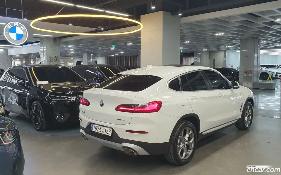 BMW X4 xDrive20i xLine 2023 — миниатюра 2