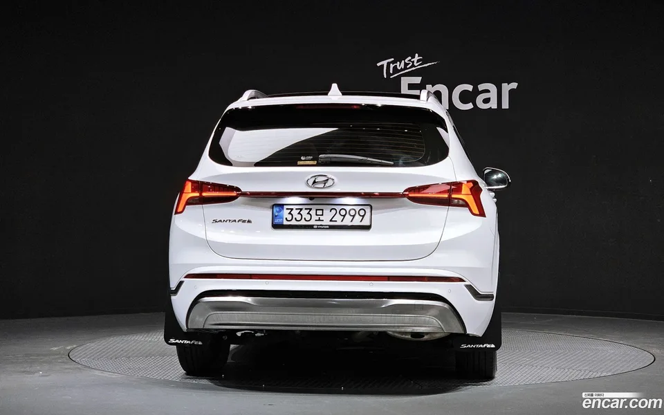 Hyundai SantaFe HEV 1.6 2WD 2022 — миниатюра 4
