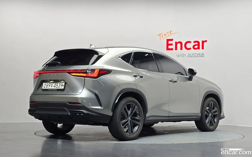 Lexus NX 350h 2023 — миниатюра 2
