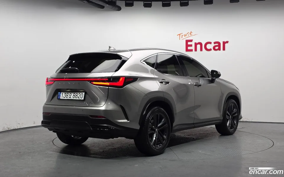 Lexus NX 350h 2024 — миниатюра 2