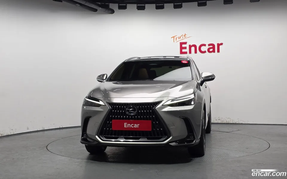 Lexus NX 350h 2024 — миниатюра 3