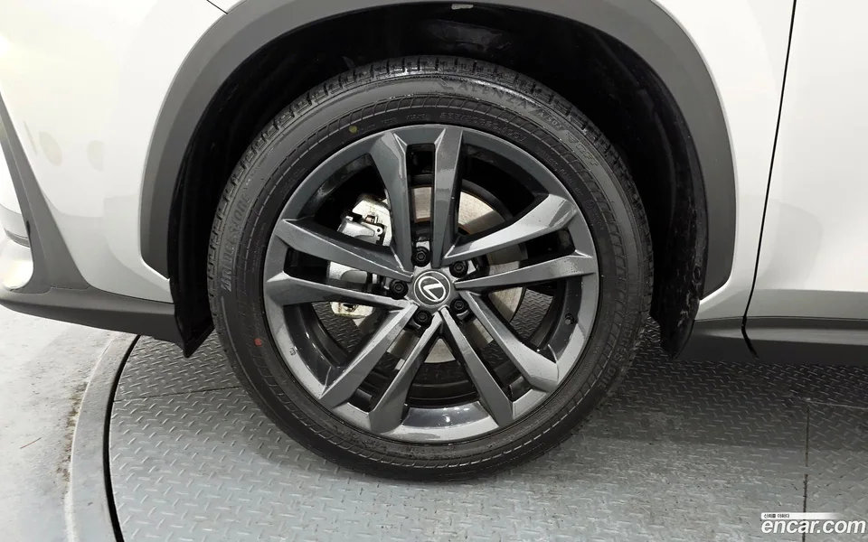 Lexus NX 350h 2024 — миниатюра 5