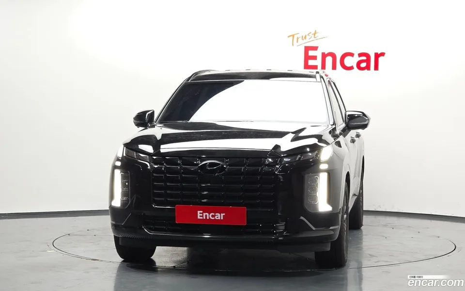 Hyundai Palisade 3.8 4WD 2024 — миниатюра 3