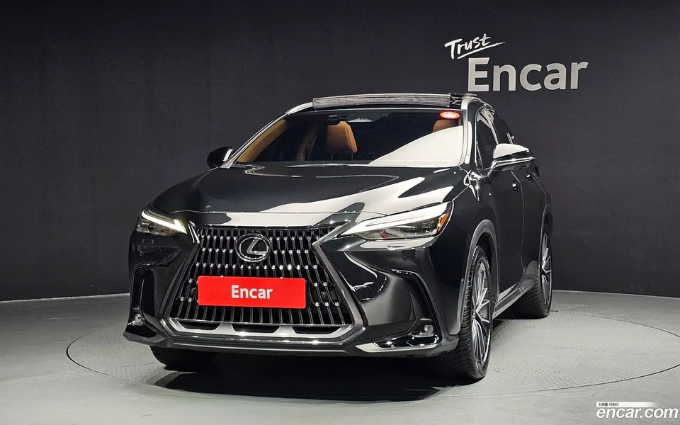 Lexus NX 350h 2024 — миниатюра 3