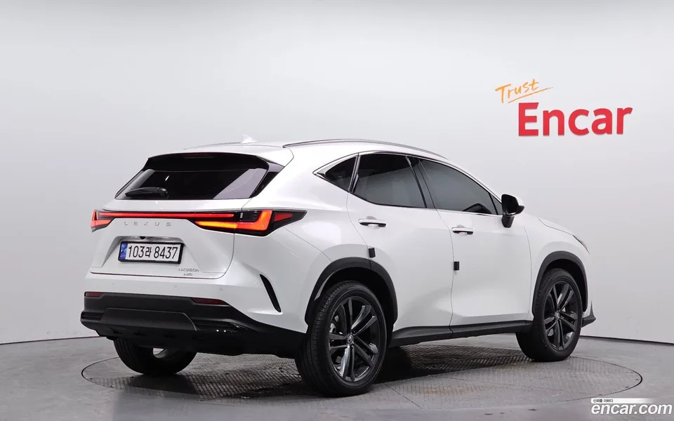 Lexus NX 350h 2024 — миниатюра 2