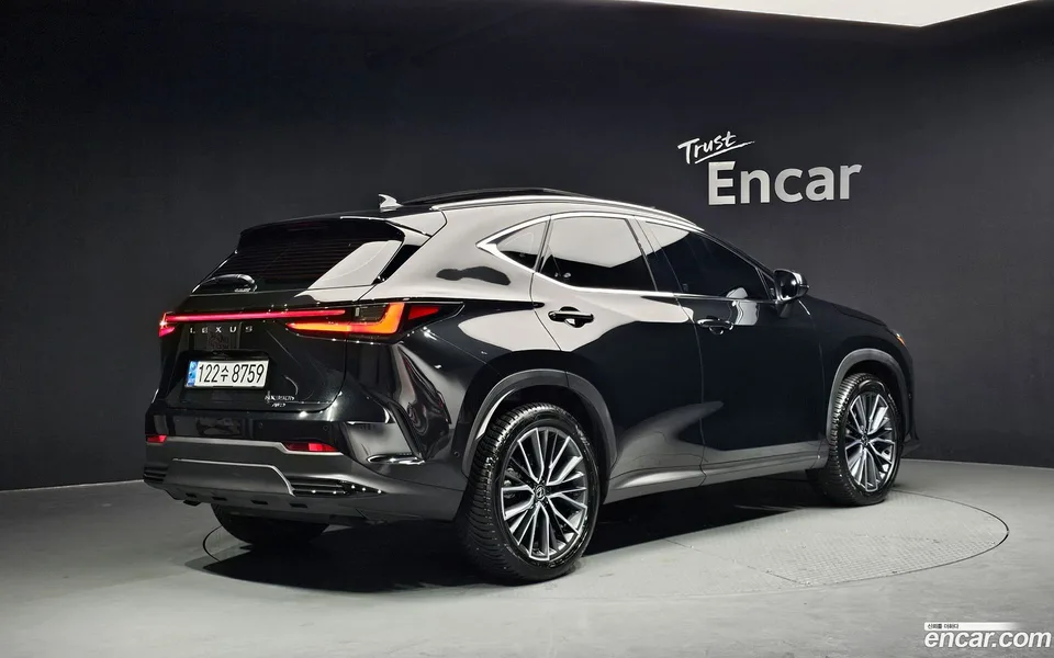 Lexus NX 350h 2024 — миниатюра 2