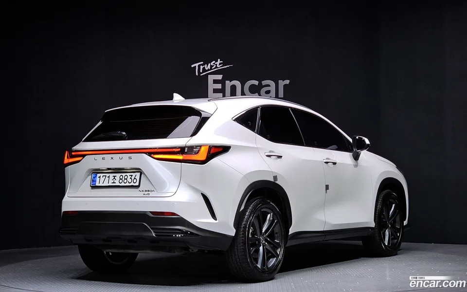 Lexus NX 350h 2024 — миниатюра 2