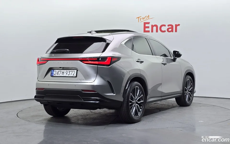 Lexus NX 350h 2023 — миниатюра 2