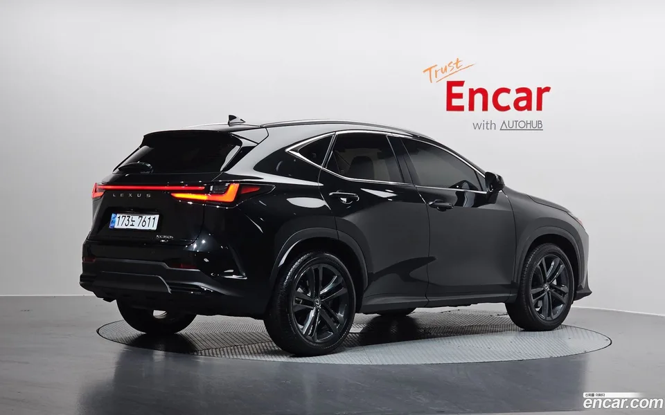 Lexus NX 350h 2024 — миниатюра 2