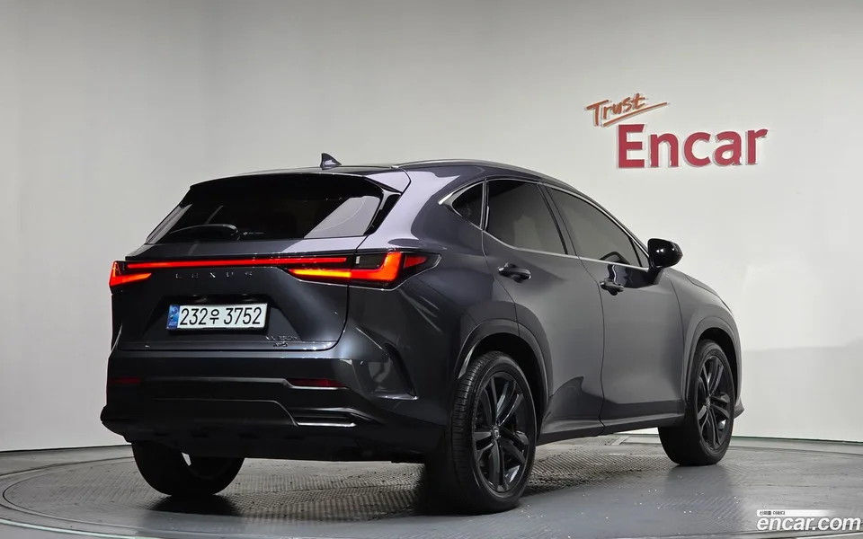 Lexus NX 350h 2024 — миниатюра 2