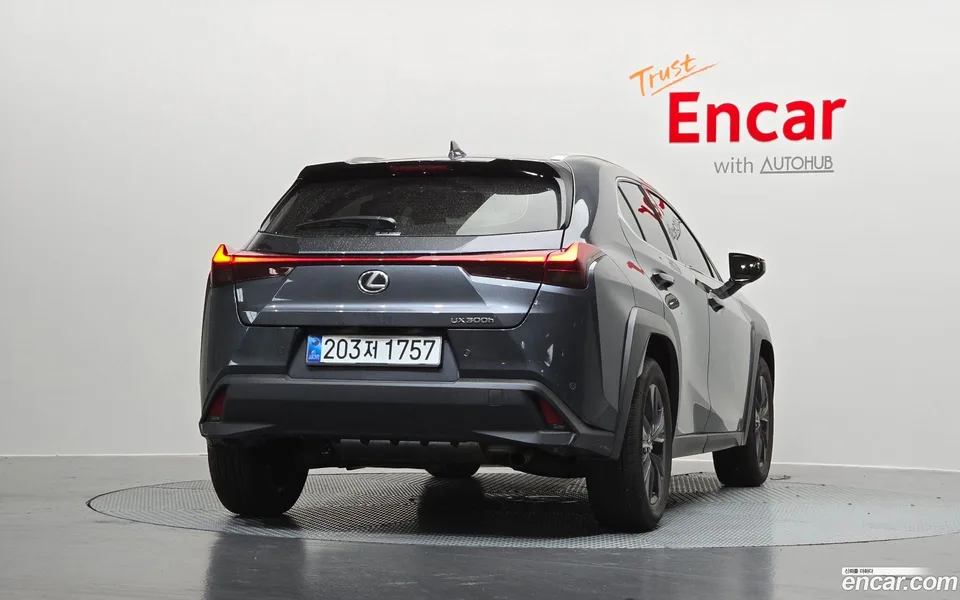 Lexus UX 300h 2.0 2WD 2025 — миниатюра 4