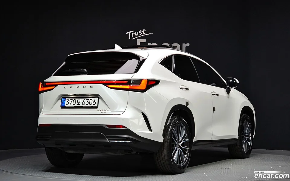 Lexus NX 350h 2024 — миниатюра 2
