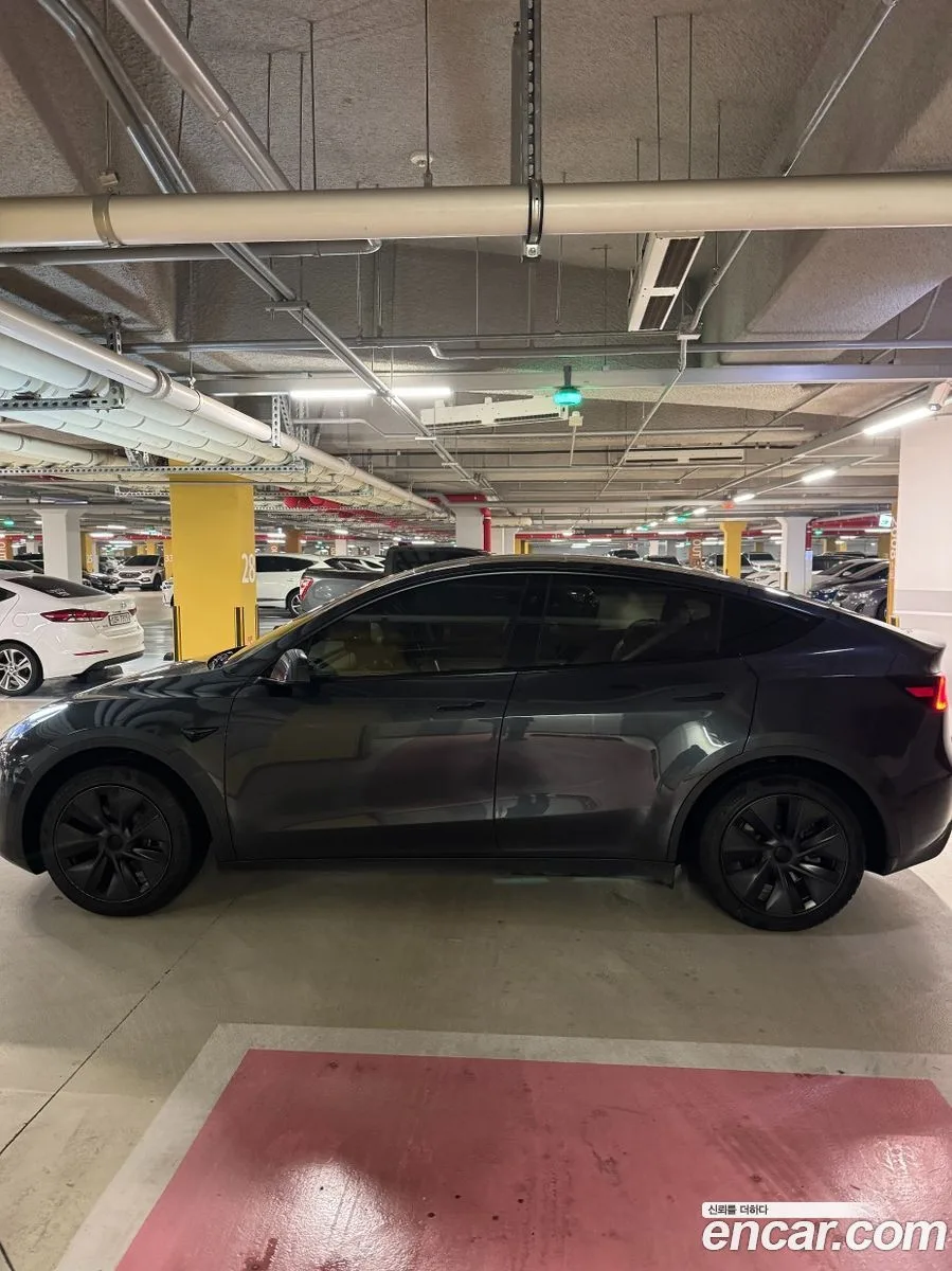 Tesla Model Y RWD 2025 — миниатюра 2