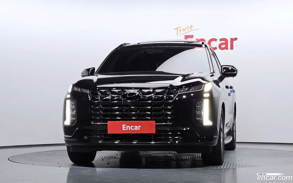 Hyundai Palisade 3.8 4WD 2024 — миниатюра 3