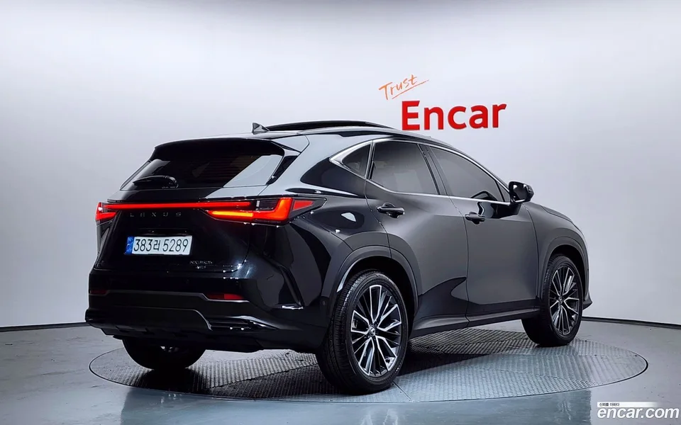 Lexus NX 350h 2024 — миниатюра 2