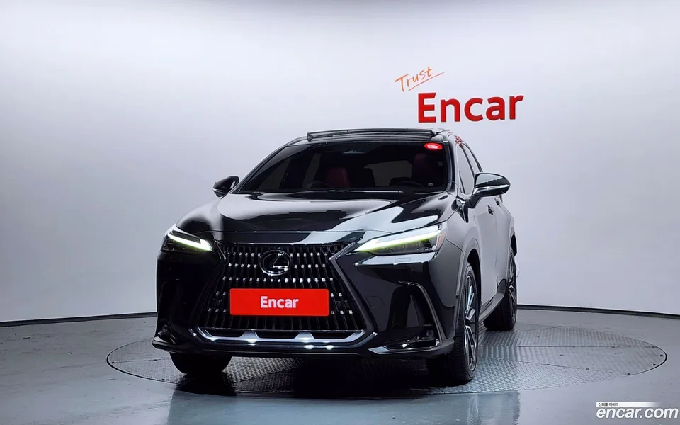 Lexus NX 350h 2024 — миниатюра 3