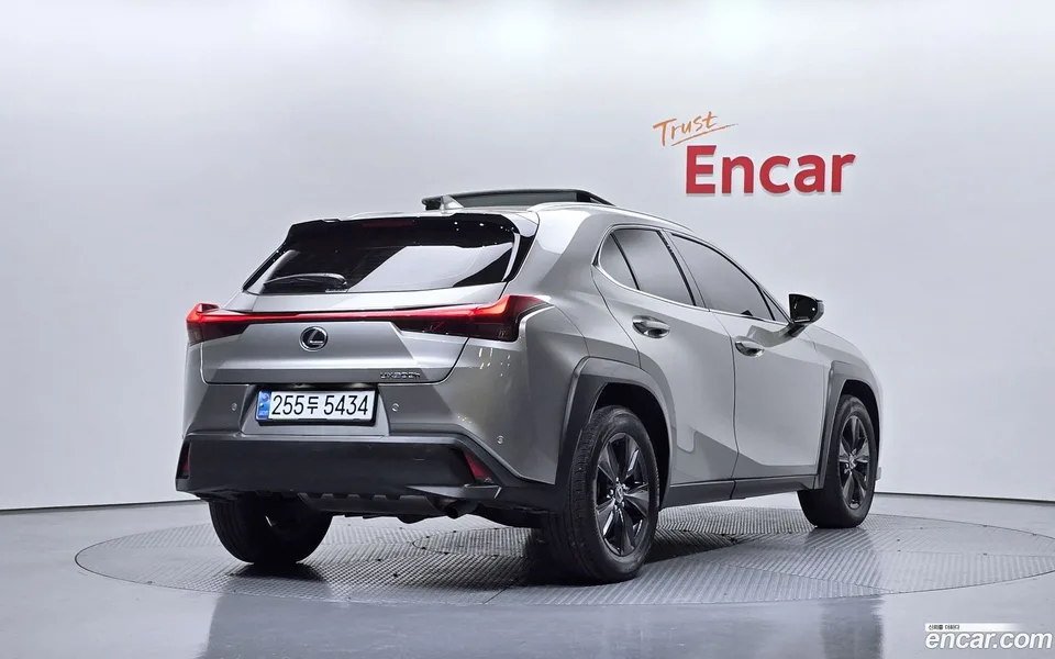 Lexus UX 300h 2.0 2WD 2024 — миниатюра 2