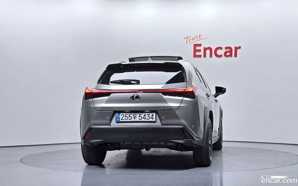 Lexus UX 300h 2.0 2WD 2024 — миниатюра 4