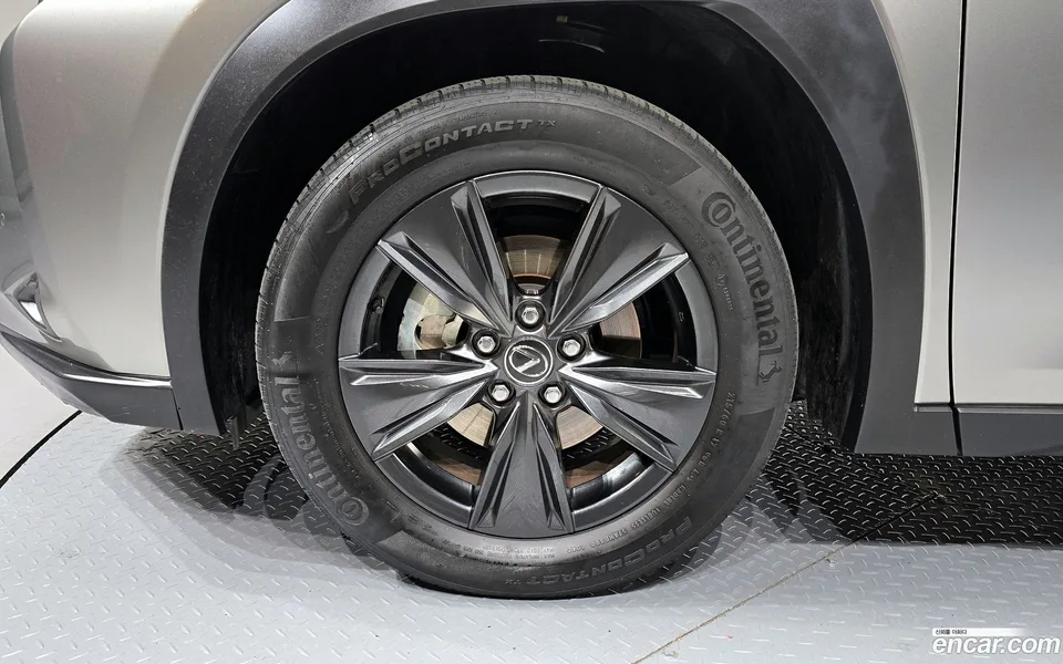 Lexus UX 300h 2.0 2WD 2024 — миниатюра 5