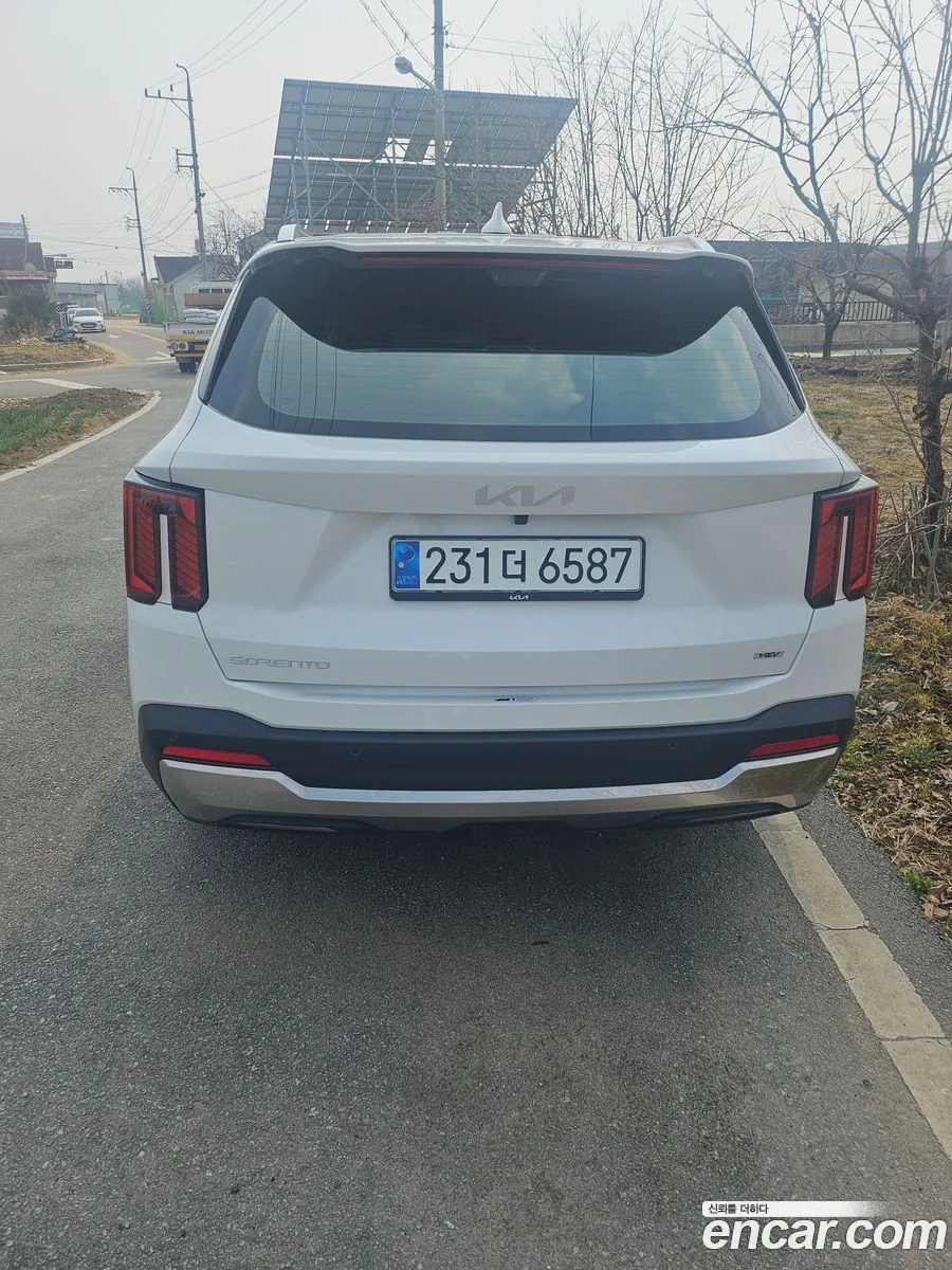Kia Sorento HEV 1.6 4WD 2025 — миниатюра 3