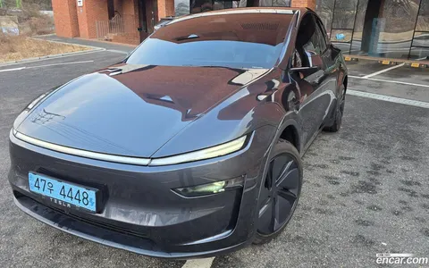 Tesla Model Y 2025 buy in Moscow