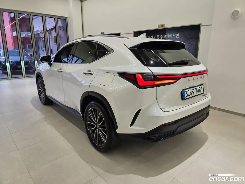 Lexus NX 350h 2023 — миниатюра 2