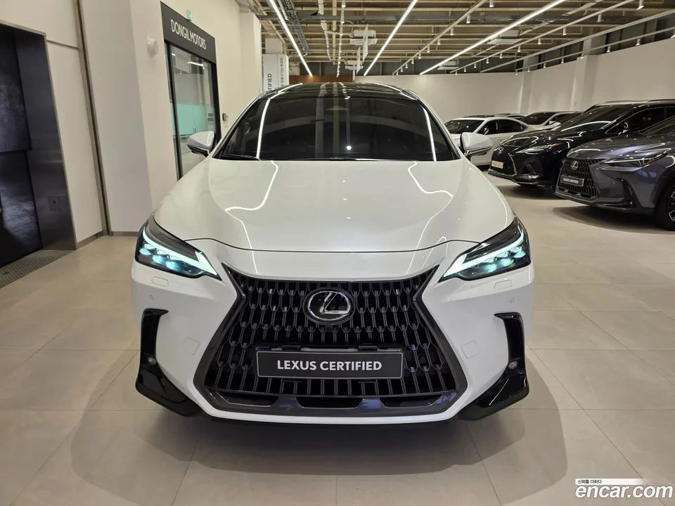 Lexus NX 350h 2023 — миниатюра 3