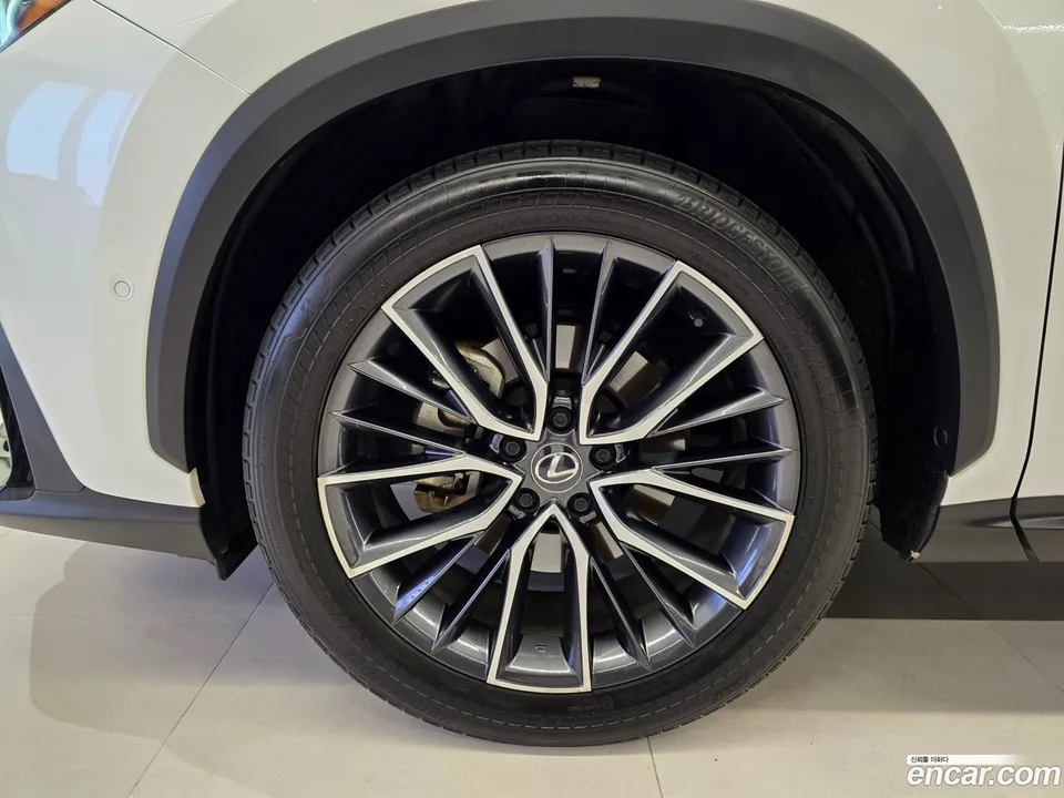 Lexus NX 350h 2023 — миниатюра 5