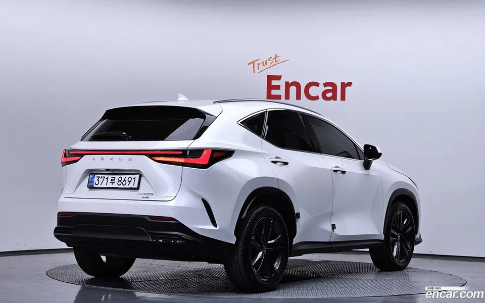 Lexus NX 350h 2024 — миниатюра 2