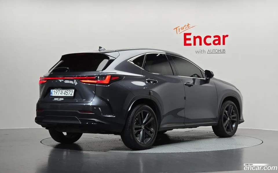 Lexus NX 350h 2022 — миниатюра 2