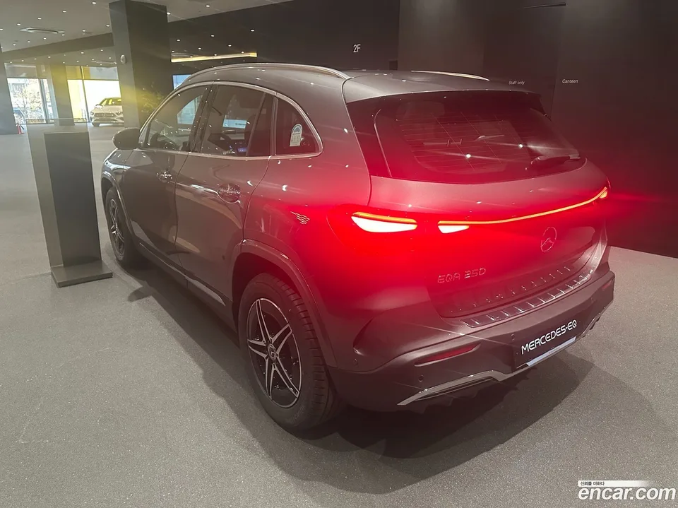 Mercedes-Benz EQA EQA250 AMG 2025 — миниатюра 2