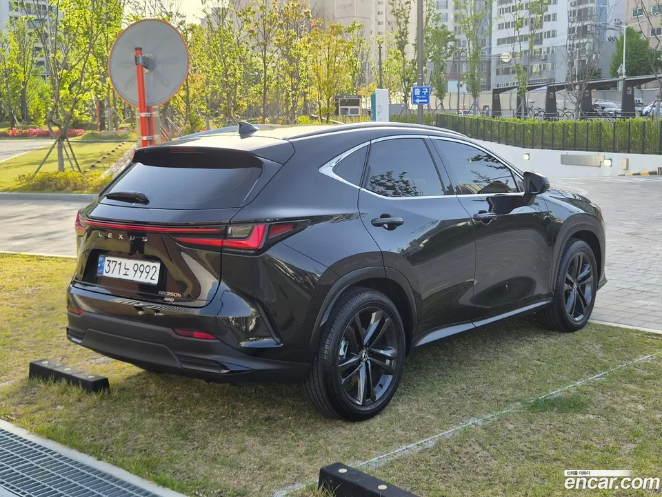 Lexus NX 350h 2024 — миниатюра 2
