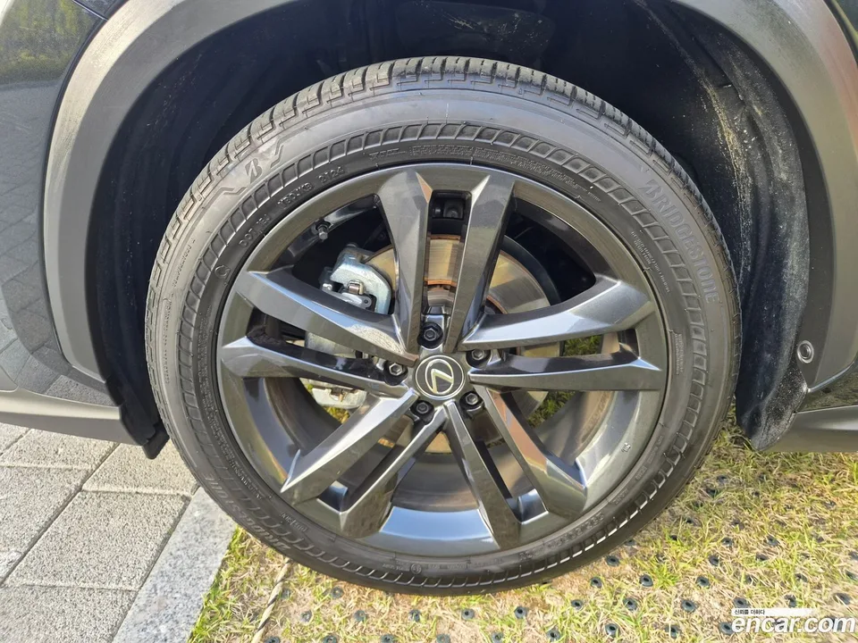Lexus NX 350h 2024 — миниатюра 5