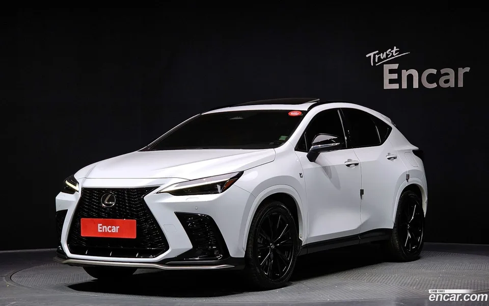 Lexus NX 450h+ F-Sport 2022 — фото 1, купить с доставкой в Москву