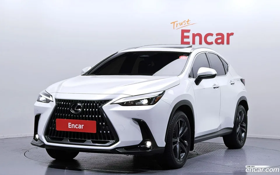 Lexus NX 350h 2024 — фото 1, купить с доставкой в Москву