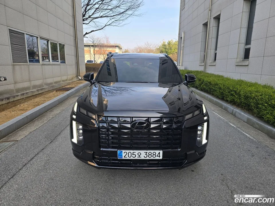 Hyundai Palisade 3.8 4WD 2024 — фото 1, купить с доставкой в Москву
