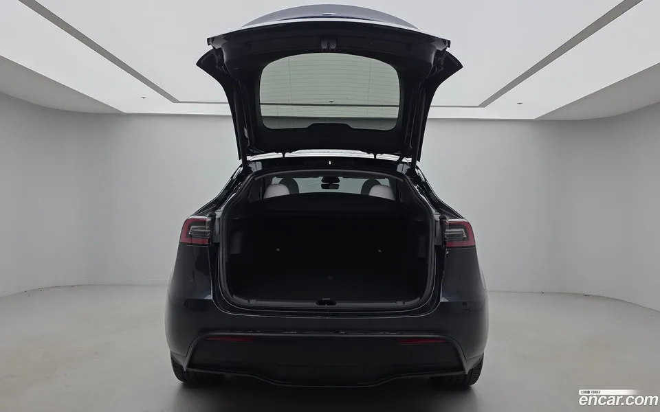 Tesla Model Y RWD 2025 — миниатюра 3