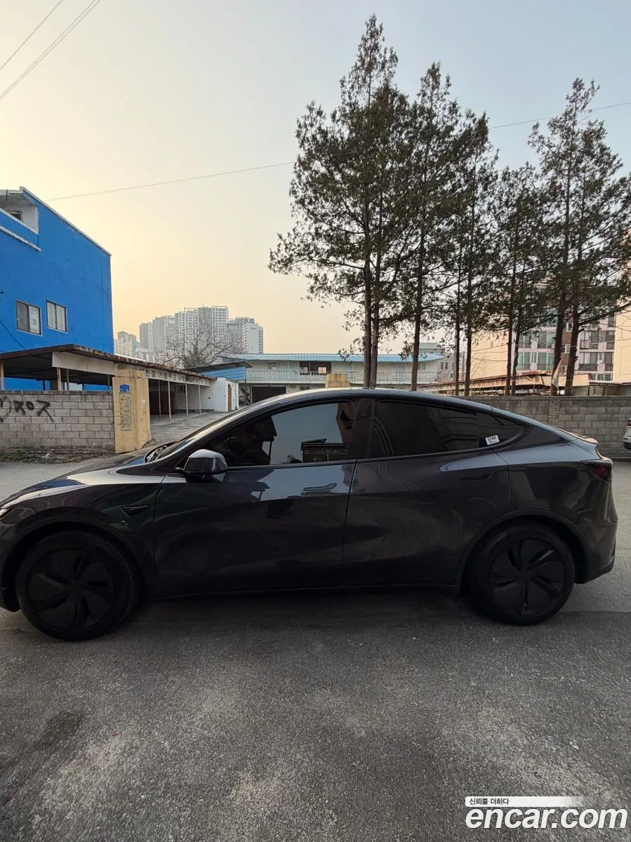 Tesla Model Y AWD 2025 — миниатюра 4