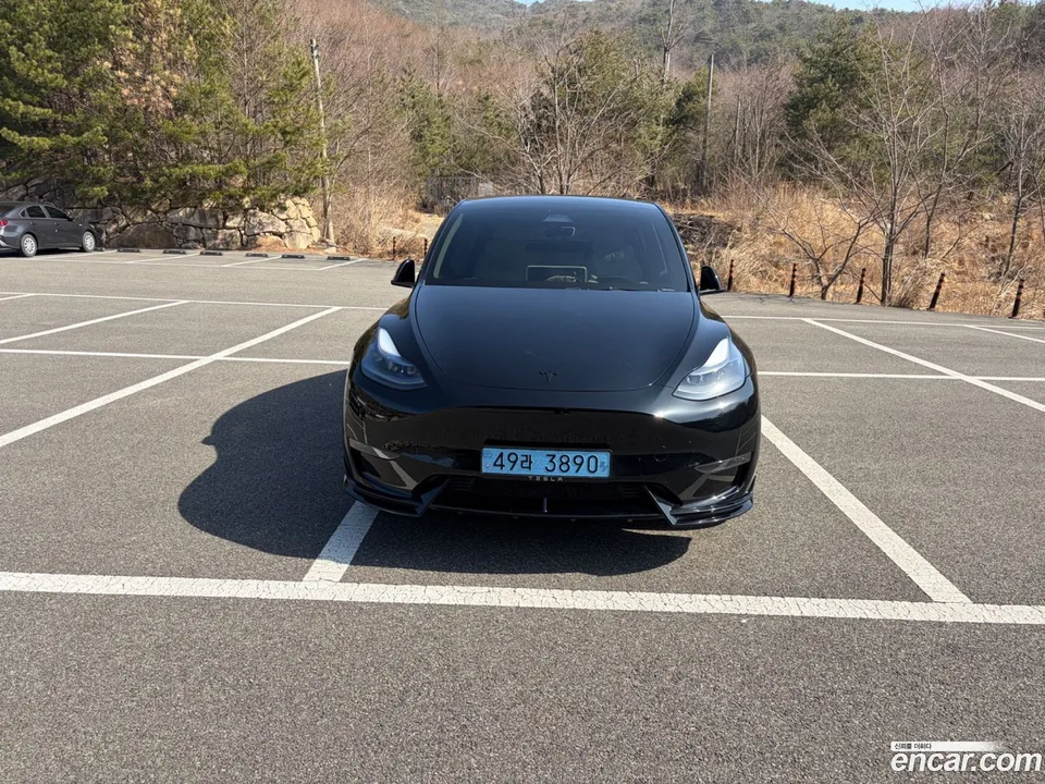 Tesla Model Y AWD 2024 — миниатюра 2