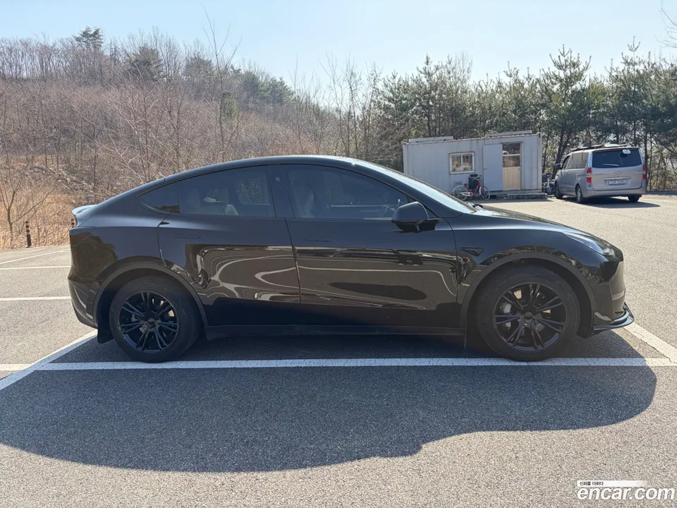 Tesla Model Y AWD 2024 — миниатюра 4