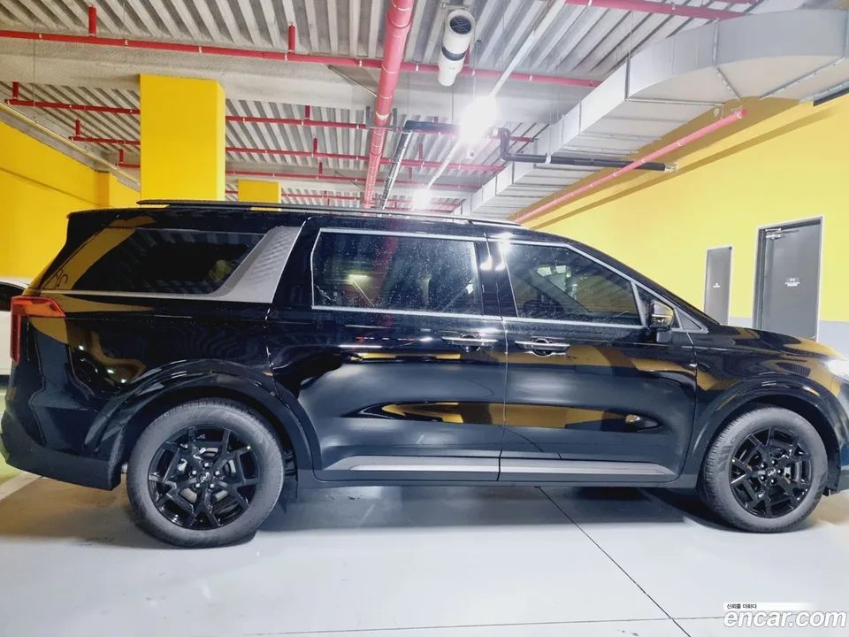 Kia Carnival HEV 9 2024 — миниатюра 4