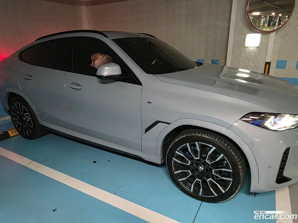 BMW X6 xDrive40i M 2024 — миниатюра 2