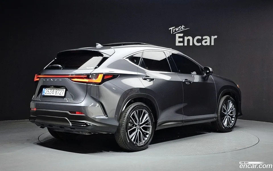 Lexus NX 350h 2024 — миниатюра 2
