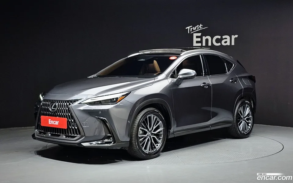 Lexus NX 350h 2024 — фото 1, купить с доставкой в Москву