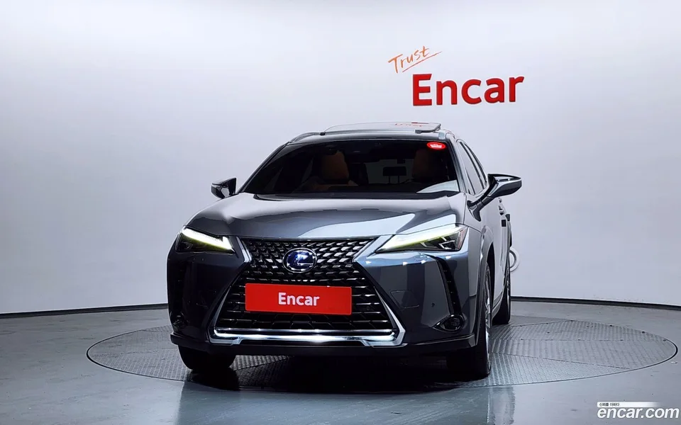 Lexus UX 300e 2WD 2022 — миниатюра 3