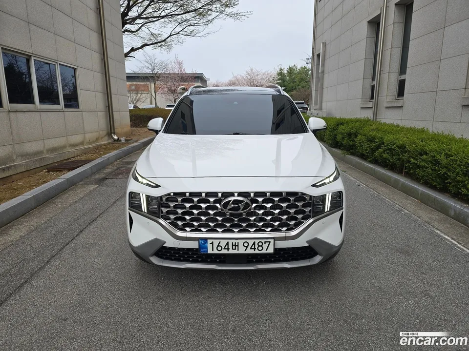 Hyundai Santa Fe 2.5T 2WD 2023 — фото 1, купить с доставкой в Москву