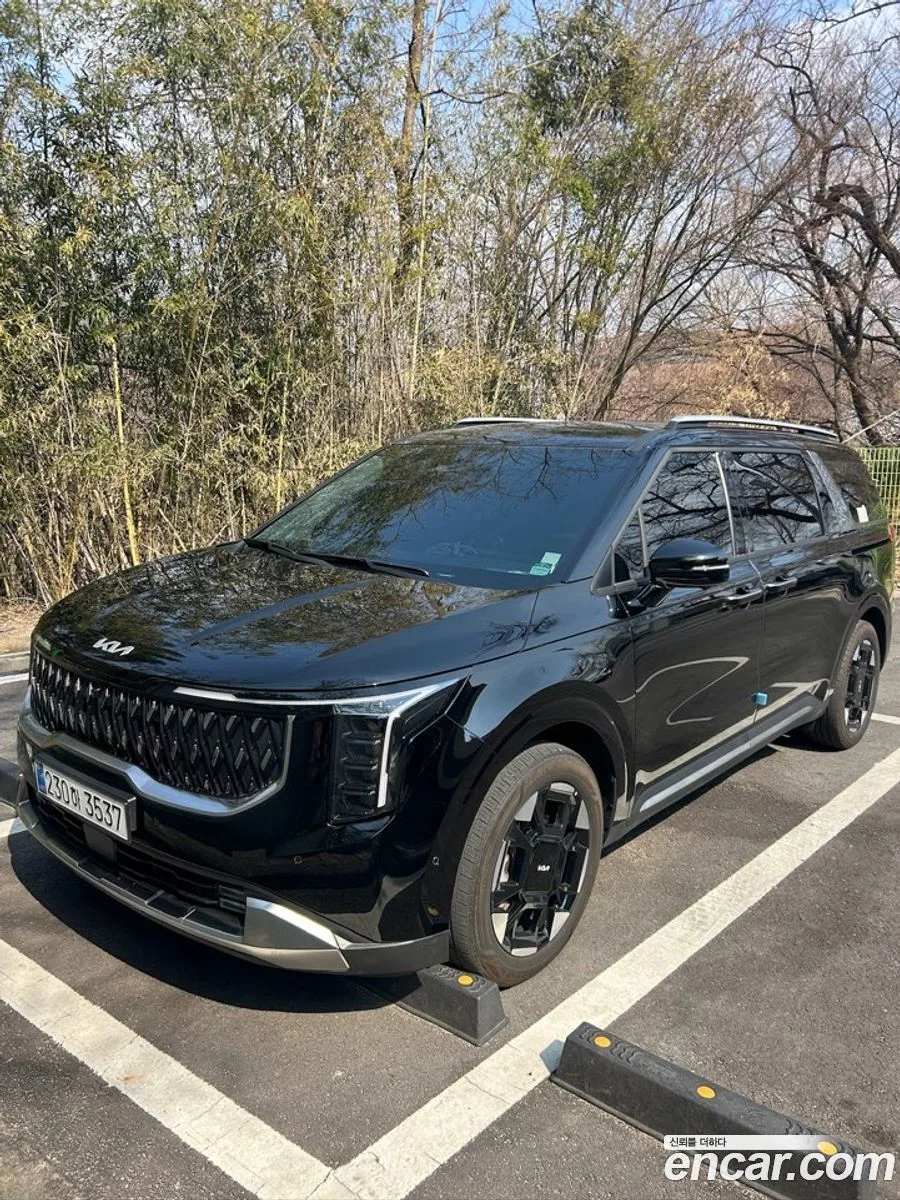 Kia Carnival HEV 9 2024 — миниатюра 4