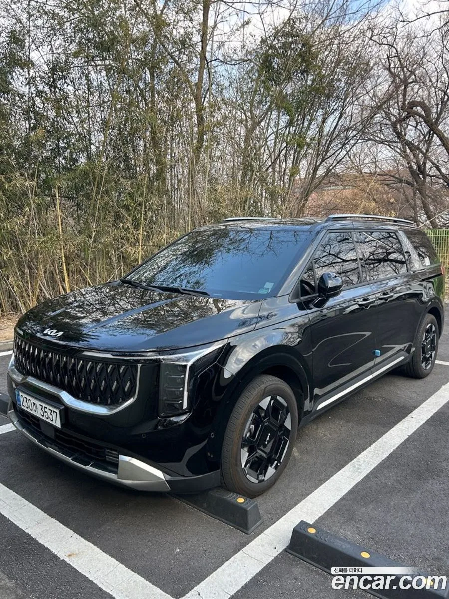 Kia Carnival HEV 9 2024 — миниатюра 5