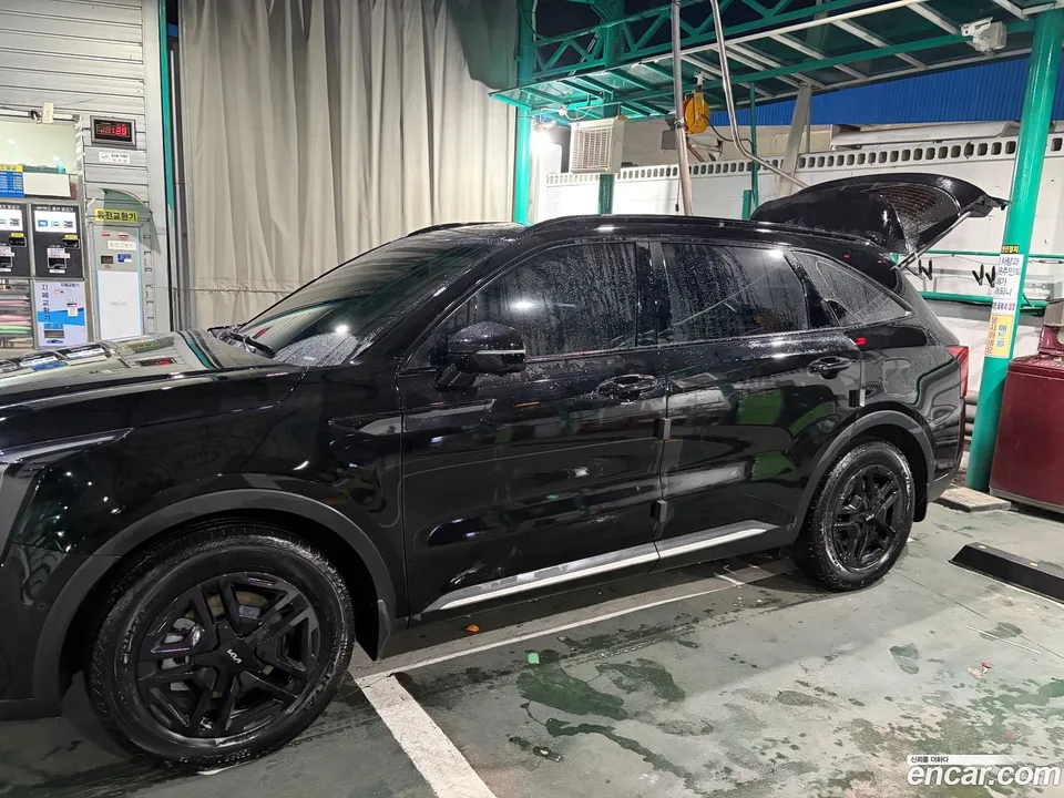 Kia Sorento HEV 1.6 2WD 2024 — миниатюра 3
