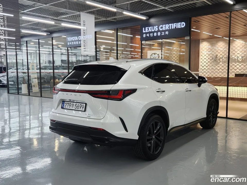 Lexus NX 350h 2025 — миниатюра 2